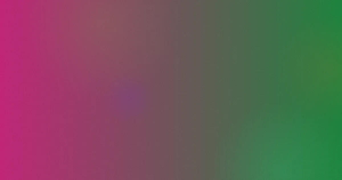 六花攻略：横向对比怎么选